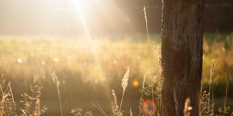 5G网络切片：解锁toB场景的科技解决方案与电子商务新机遇