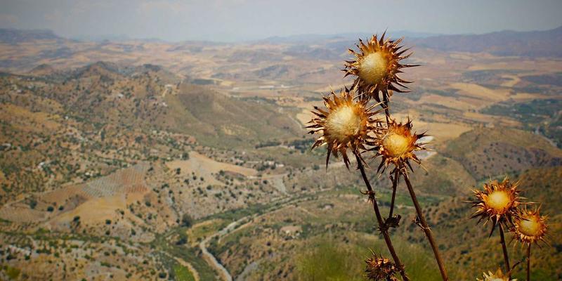 SD-WAN技术：重塑企业多分支网络架构，为互联网服务与电子商务降本增效的科技解决方案