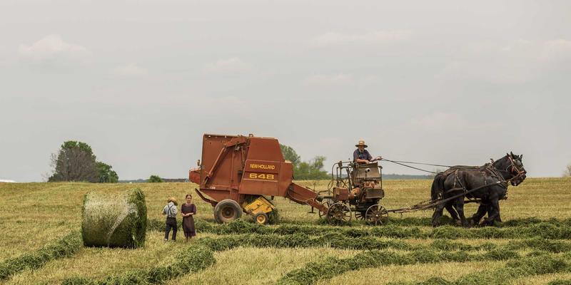 云原生网络如何颠覆传统数据中心架构：数字化转型的关键科技解决方案