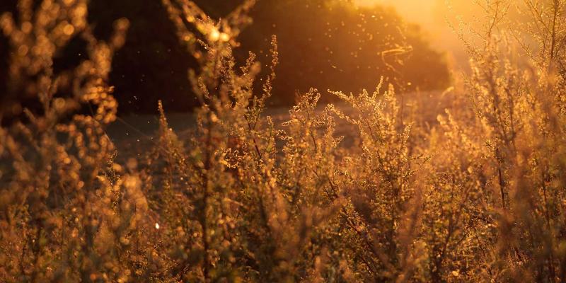 数字化转型利器：超融合基础设施如何简化数据中心网络与管理复杂度