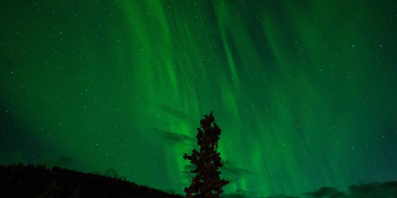 数字化转型新基石：零信任网络架构（ZTNA）如何重塑企业远程办公安全与效率