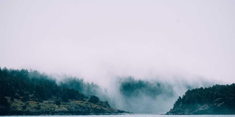 数字化转型新引擎：TSN技术如何重塑工业自动化与车载网络