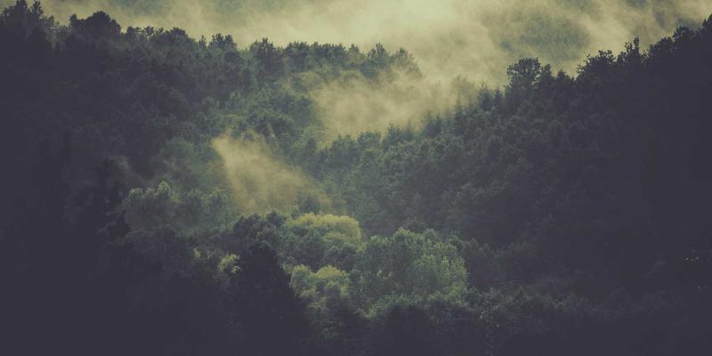 数字化转型新引擎：时间敏感网络（TSN）如何重塑工业互联网与智能制造