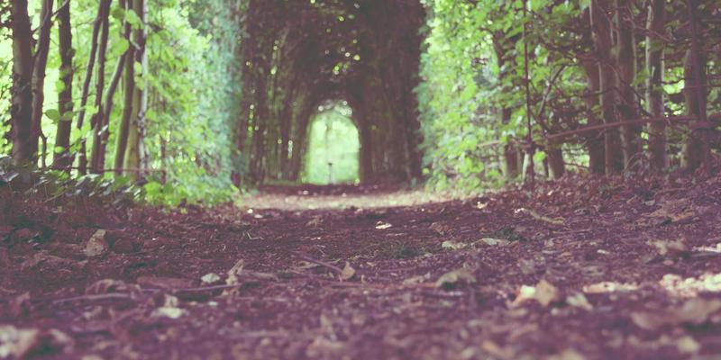 时间敏感网络（TSN）：驱动工业互联网与智能制造革新的关键引擎