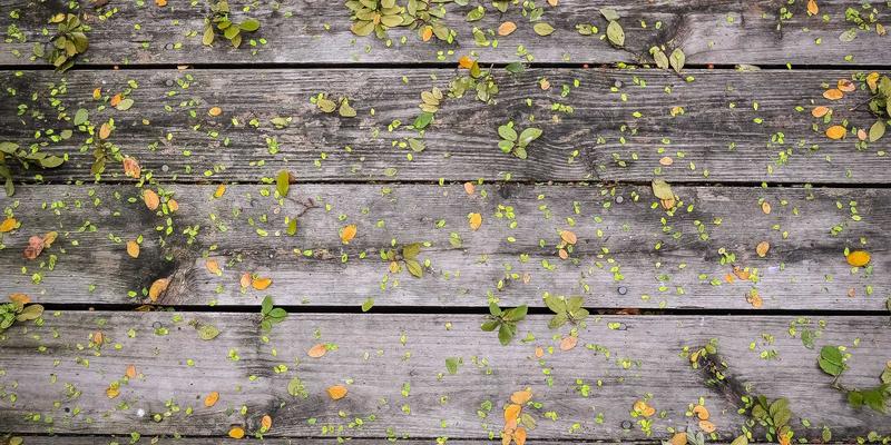 网络切片技术赋能5G专网：为垂直行业打造定制化连接解决方案