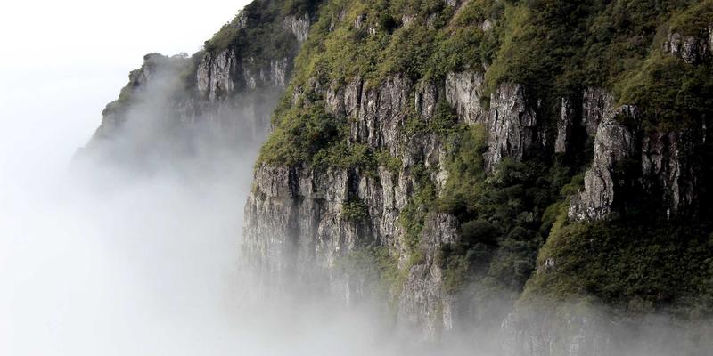 网络功能即服务（NFaaS）：云时代颠覆性的网络技术消费新模式