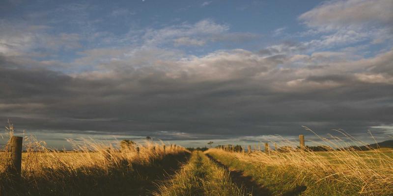 网络技术36：解码WACHWUJ如何重塑企业科技解决方案新范式