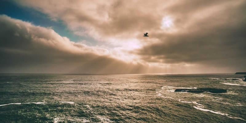 网络技术实战指南：构建高效可靠的科技解决方案