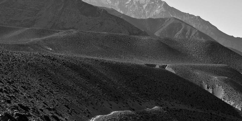 网络技术新纪元：SD-WAN与SASE融合如何驱动企业数字化转型