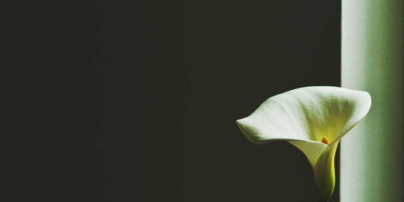 网络技术最佳实践：构建高效可靠的互联网服务与科技解决方案