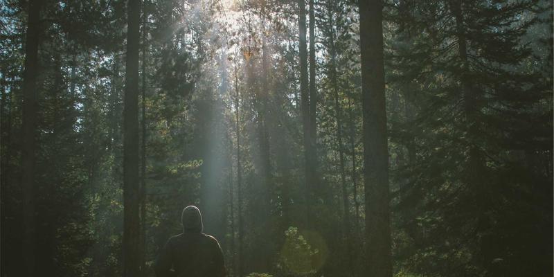 网络技术演进：从胖树架构到可编程交换芯片与RDMA的科技解决方案